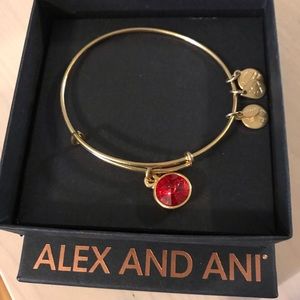 Alex and Ani Red Stone